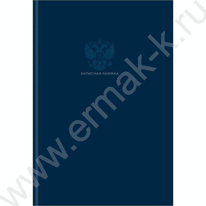 Зап. книжка  80л А4 тв.обл. "Однотонный минимализм" /глянц.лам/ | Фото 2