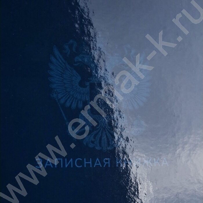 Зап. книжка  80л А4 тв.обл. "Однотонный минимализм" /глянц.лам/ | Фото 5