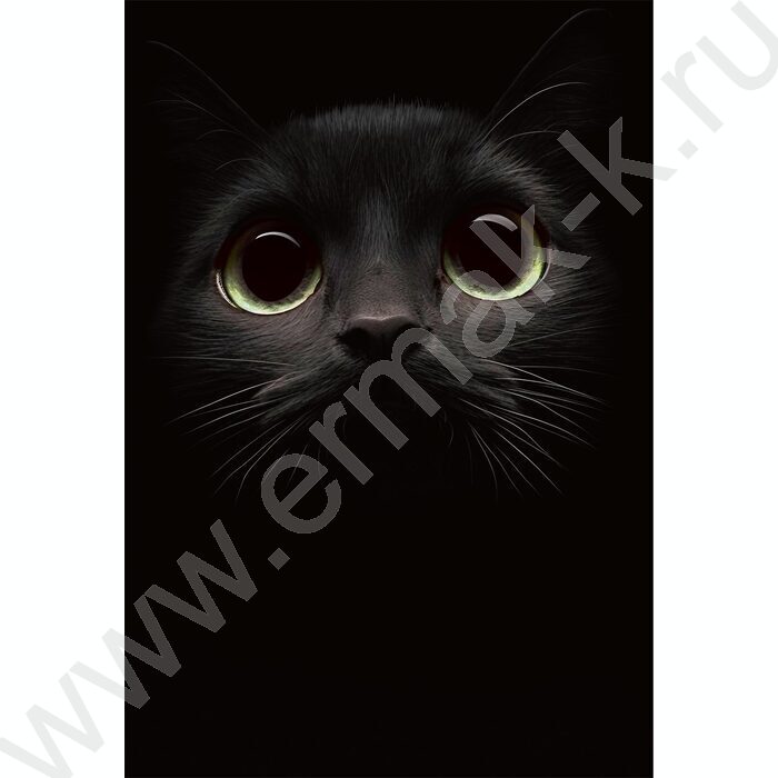 Зап. книжка 160л А5 тв.обл. "Взгляд кота" /глянц.лам/ | Фото 4