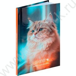 Зап. книжка  48л А6 тв.обл. "Фото котика-1" /глянц.лам/ NEW | Фото 1