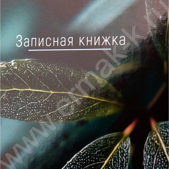 Зап. книжка  64л А6 тв.обл. "Листья-1" /глянц.лам/ | Фото 5