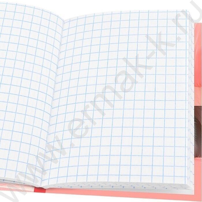Зап. книжка 48л А7 тв.обл  "Девушка и кот-2" /глянец/ | Фото 3