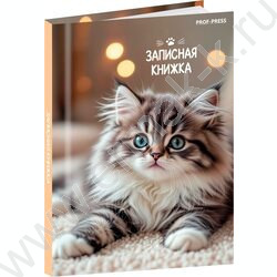 Зап. книжка  64л А7 тв.обл  "Милые котята-6" /глянец/ NEW | Фото 1