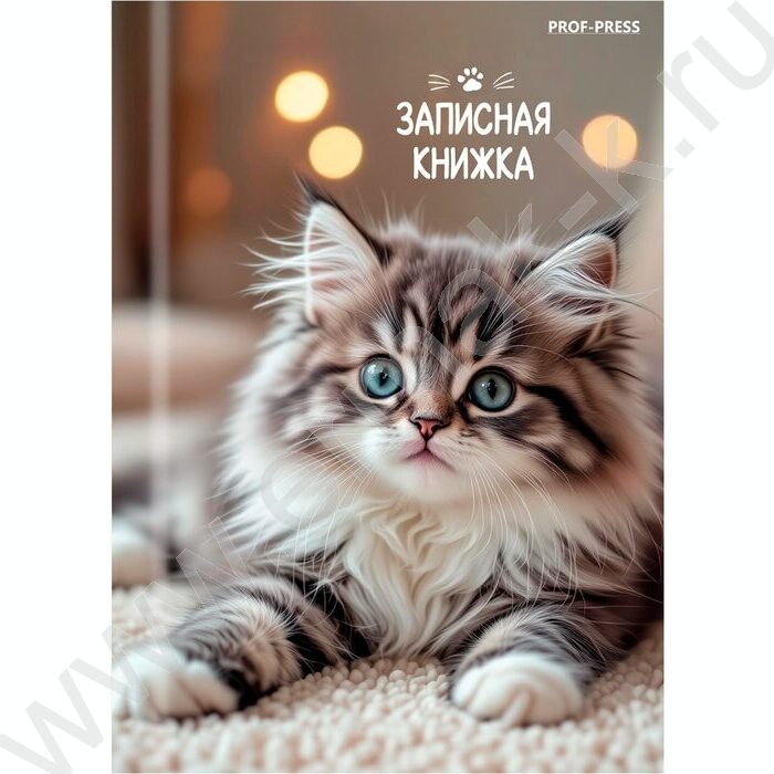 Зап. книжка  64л А7 тв.обл  "Милые котята-6" /глянец/ | Фото 2
