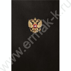 Книга Учёта  96л клетка тв.обл.офсет "Государственный символ России-2" глянц.лам. NEW | Фото 4