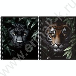 Тетрадь  48л клетка/спираль "Дикие кошачьи-2" ассорти NEW | Фото 1