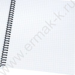 Тетрадь  48л клетка/спираль "Дикие кошачьи-2" ассорти NEW | Фото 2