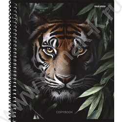 Тетрадь  48л клетка/спираль "Дикие кошачьи-2" ассорти NEW | Фото 3