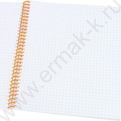 Тетрадь  48л клетка/спираль "Красивые пейзажи-4" ассорти NEW | Фото 2