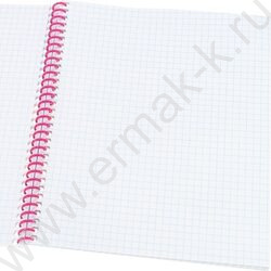 Тетрадь  48л клетка/спираль "Милый минимализм" ассорти NEW | Фото 2