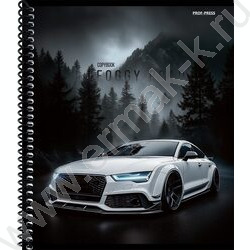 Тетрадь  48л клетка/спираль "Туманная дорога" ассорти NEW | Фото 3