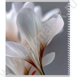 Тетрадь  96л клетка/спираль "Белые цветы" /софт-тач mix NEW | Фото 6