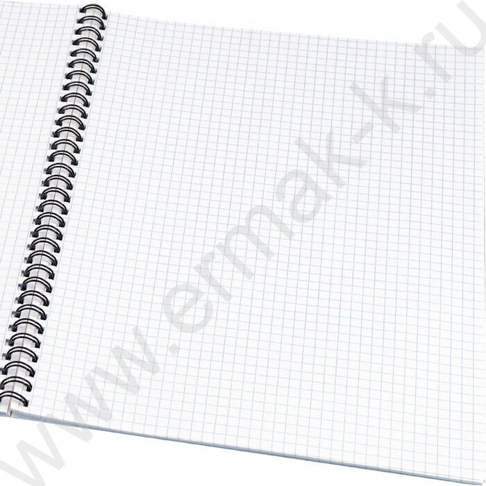 Тетрадь  60л А4 клетка/спираль "Символика России-7" | Фото 2