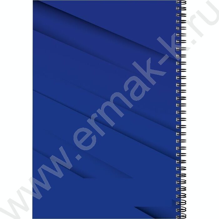 Тетрадь  60л А4 клетка/спираль "Символика России-7" | Фото 3