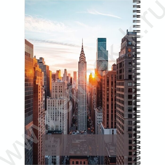 Тетрадь  60л А4 клетка/спираль "Живи сейчас" | Фото 3