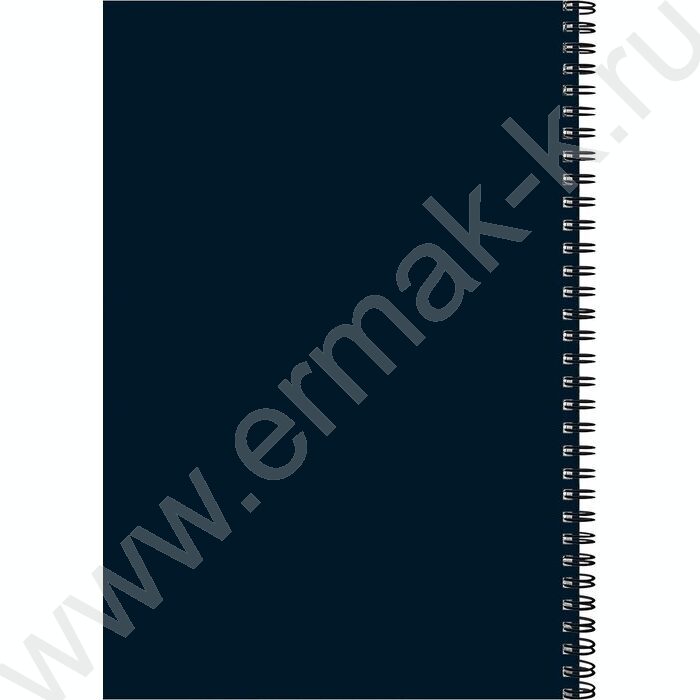 Тетрадь  80л А4 клетка/спираль "Насыщенный синий" | Фото 3