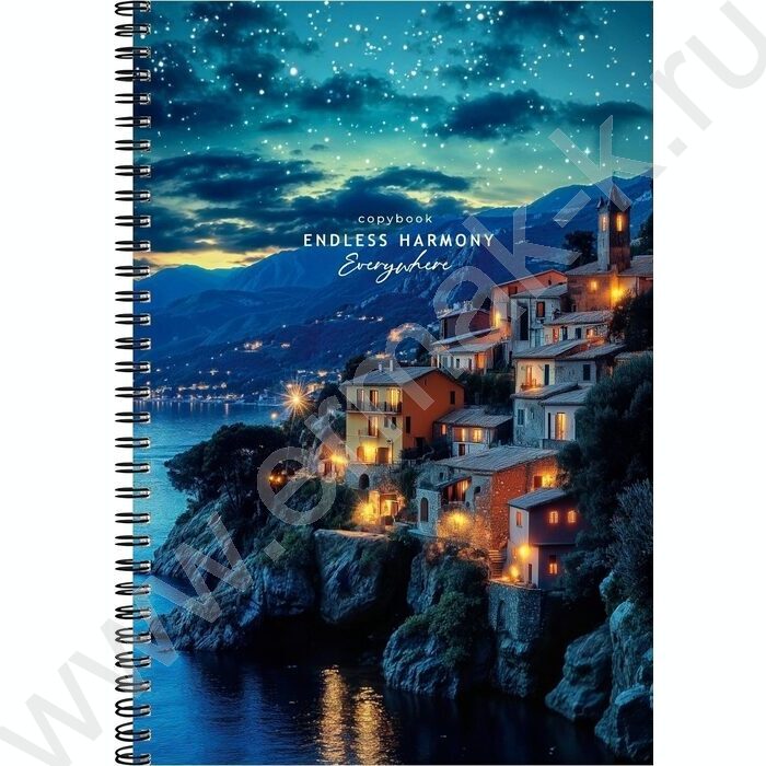 Тетрадь  80л А4 клетка/спираль "Ночной город у моря" | Фото 1