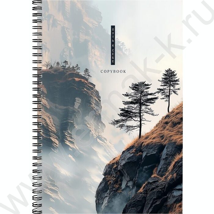 Тетрадь  80л А4 клетка/спираль "Скалистый пейзаж" | Фото 1