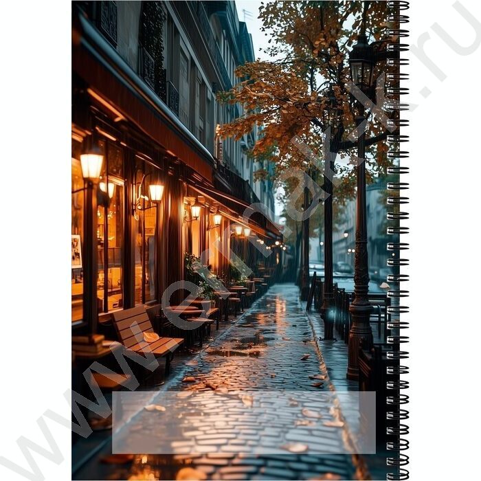 Тетрадь  96л А4 клетка/спираль "Городская улочка" | Фото 3