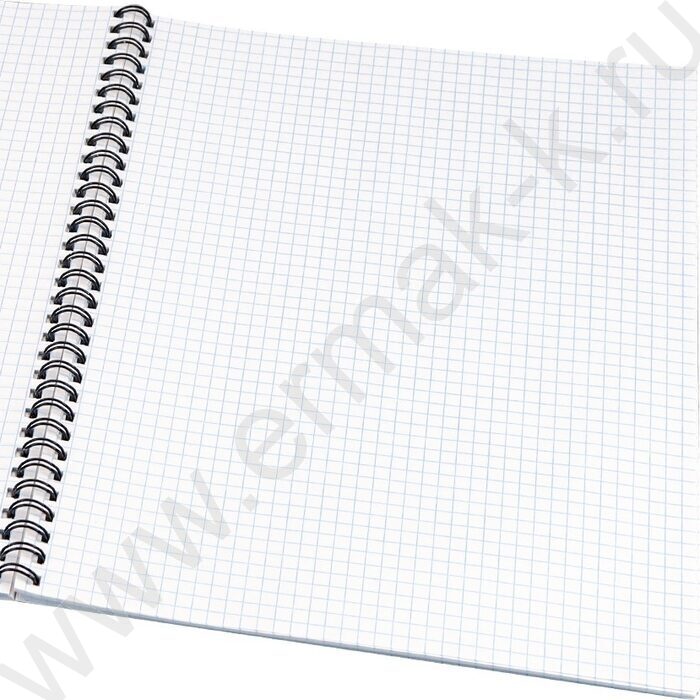 Тетрадь  96л А4 клетка/спираль "Песчаное побережье" | Фото 2