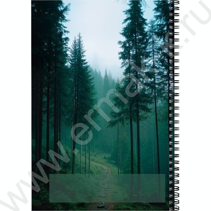 Тетрадь  96л А4 клетка/спираль "Зеленый лес-1" | Фото 3