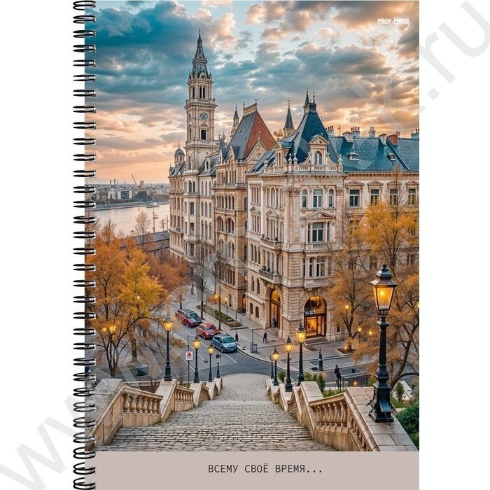 Тетрадь  96л А4 клетка/спираль "Красивый город-5" | Фото 1