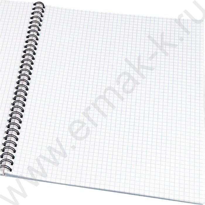 Тетрадь  96л А4 клетка/спираль "Рыжий котик-2" | Фото 2