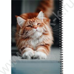 Тетрадь  96л А4 клетка/спираль "Рыжий котик-2" NEW | Фото 3