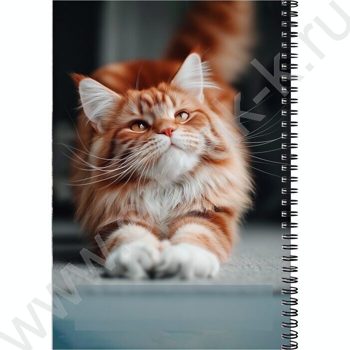 Тетрадь  96л А4 клетка/спираль "Рыжий котик-2" | Фото 3