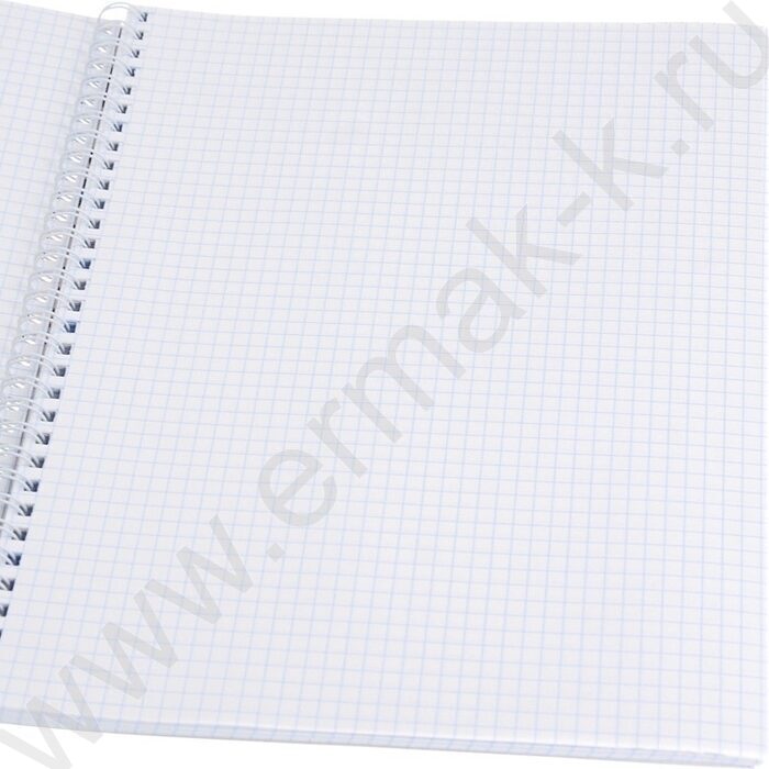 Тетрадь  96л А4 клетка/спираль "Красивая архитектура-9" /софт-тач/ | Фото 2