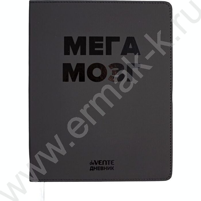 Дневник 1-11кл. /лайт /иск.кожа /выборочный лак /ляссе "МЕГА МОЗГ" | Фото 1