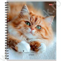 Тетрадь  48л клетка/спираль "Милые коты-1" ассорти NEW | Фото 3