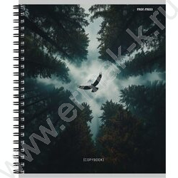 Тетрадь  48л клетка/спираль "Завораживающие пейзажи-2" ассорти NEW | Фото 3