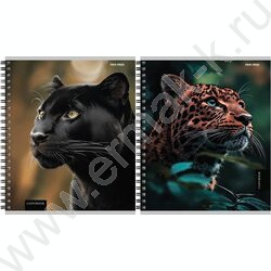 Тетрадь  48л клетка/спираль "Красивые кошачьи" ассорти NEW | Фото 1