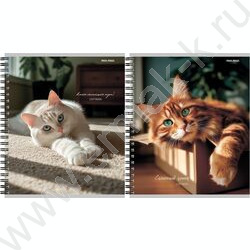 Тетрадь  48л клетка/спираль "Милые коты-2" ассорти NEW | Фото 1