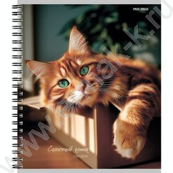 Тетрадь  48л клетка/спираль "Милые коты-2" ассорти NEW | Фото 3