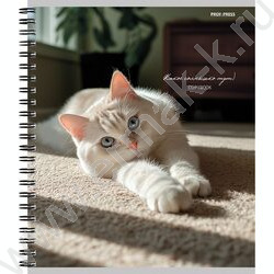 Тетрадь  48л клетка/спираль "Милые коты-2" ассорти NEW | Фото 5