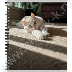 Тетрадь  48л клетка/спираль "Милые коты-2" ассорти NEW | Фото 6