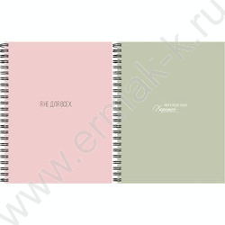 Тетрадь  48л клетка/спираль "Цвет и минимализм-1" /софт-тач/ ассорти NEW | Фото 1