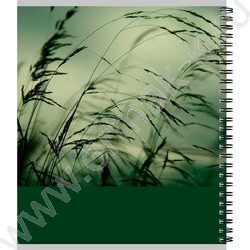 Тетрадь  80л клетка/спираль "Зелёная природа" ассорти NEW | Фото 4
