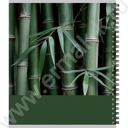 Тетрадь  80л клетка/спираль "Зелёная природа" ассорти NEW | Фото 6