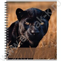 Тетрадь  96л клетка/спираль "Дикие кошачьи-3" ассорти NEW | Фото 6