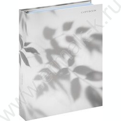 Тетрадь 120л А4 клетка/кольца "Нежные ромашки" NEW | Фото 1