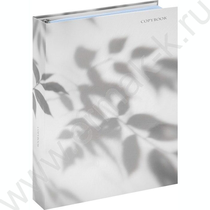 Тетрадь 120л А4 клетка/кольца "Нежные ромашки" | Фото 1