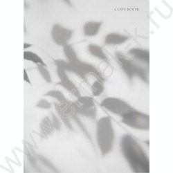 Тетрадь 120л А4 клетка/кольца "Нежные ромашки" NEW | Фото 2