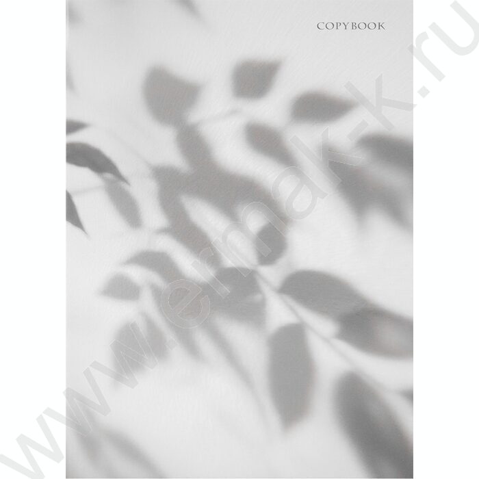 Тетрадь 120л А4 клетка/кольца "Нежные ромашки" | Фото 2