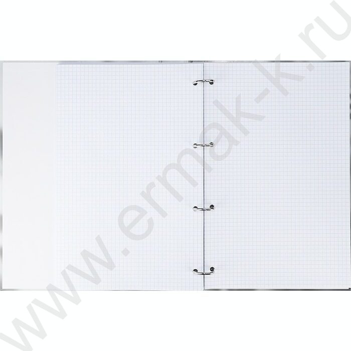 Тетрадь 120л А4 клетка/кольца "Нежные ромашки" | Фото 3