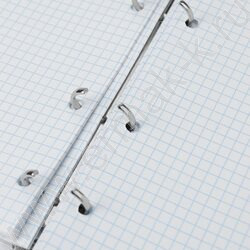 Тетрадь 120л А4 клетка/кольца "Нежные ромашки" NEW | Фото 4