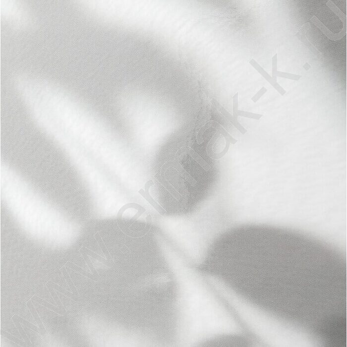 Тетрадь 120л А4 клетка/кольца "Нежные ромашки" | Фото 6