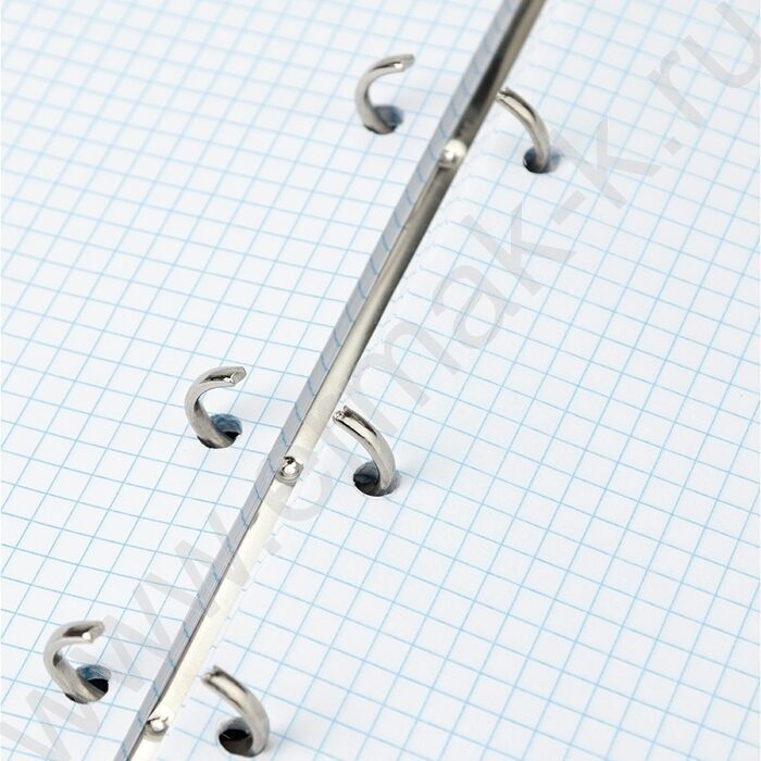 Тетрадь 160л А5+ кольца "Единение с природой" | Фото 3